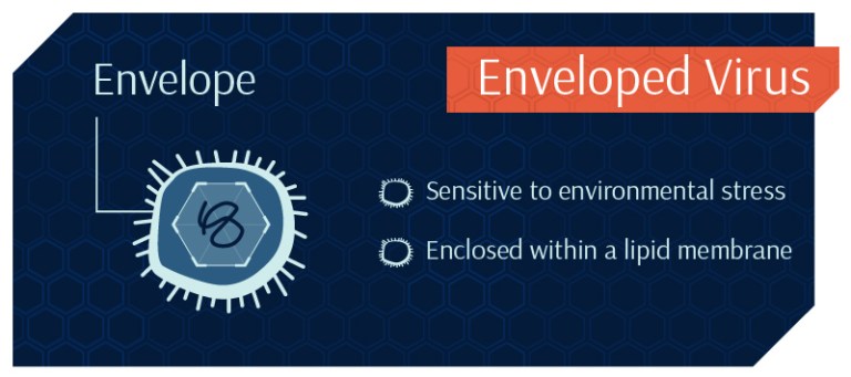 enveloped_virus-Stopping it from Getting Viral
