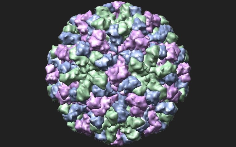 virus-norwalk-norovirus
